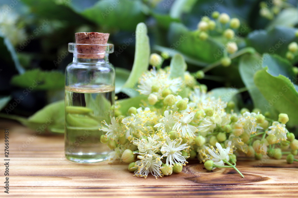 Linden essential oil bottle with fresh linden flowers on wooden