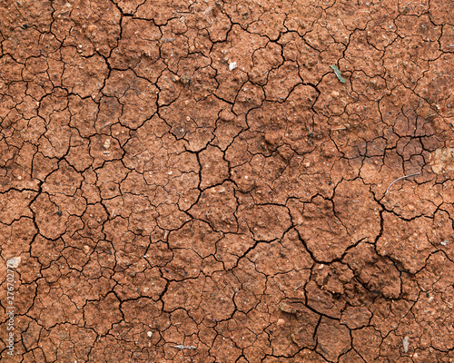Vászonkép Dry Dirt Texture
