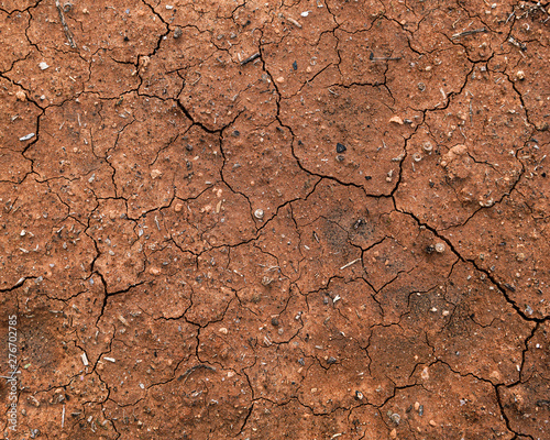 Dry Dirt Texture
