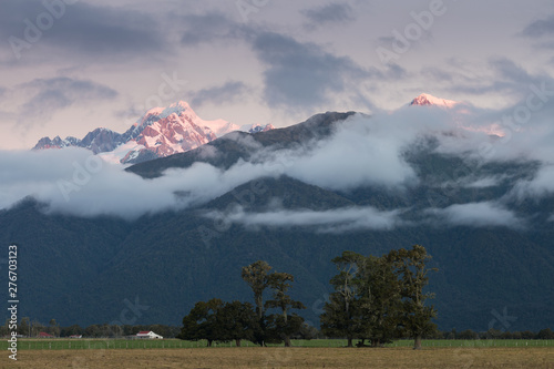 Sunset on meadows under the Fox Glacier / Te Moeka o Tuawe. It is temperate maritime glacier located in Westland Tai Poutini National Park on the West Coast of New Zealand's South Island. photo