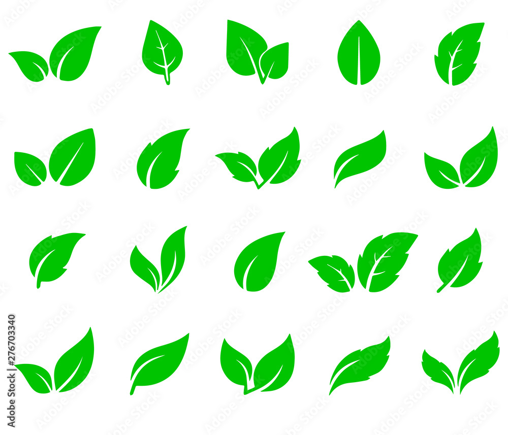 green leaf icons set on white background - obrazy, fototapety, plakaty 