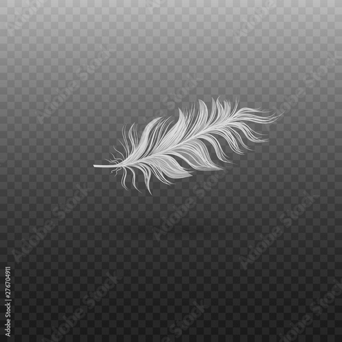 Soft realistic white bird feather with fluff.