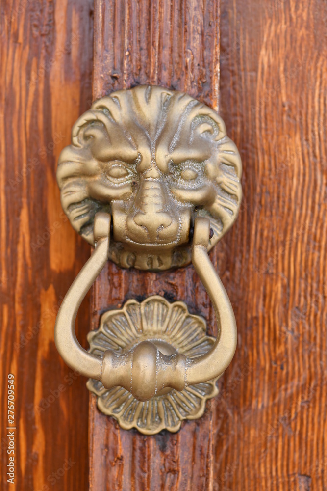 A golden lion knocker on an old wooden door.