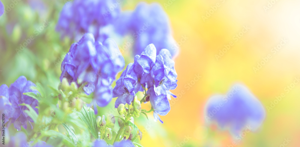 Pastel and soft flower background - blue, green, yellow Pastel and soft flower background - blue, green, yellow