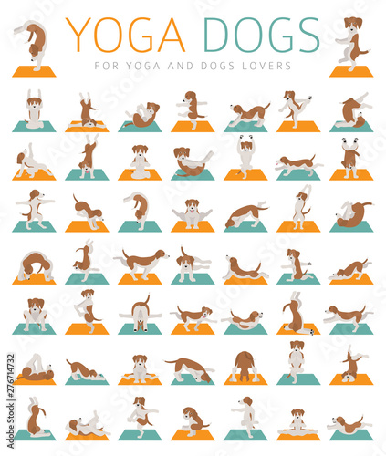 Yoga dogs poses and exercises doing clipart. Funny cartoon poster design