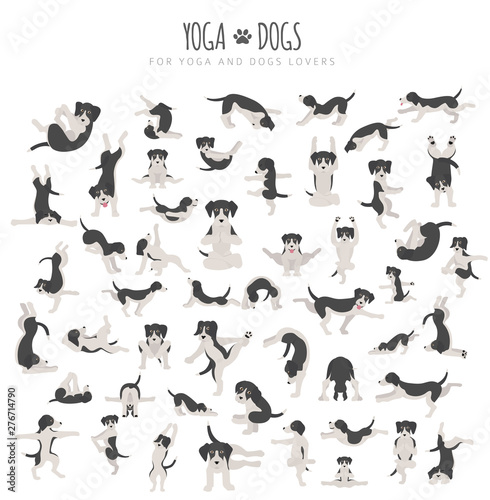Fototapeta Naklejka Na Ścianę i Meble -  Yoga dogs poses and exercises doing clipart. Funny cartoon poster design