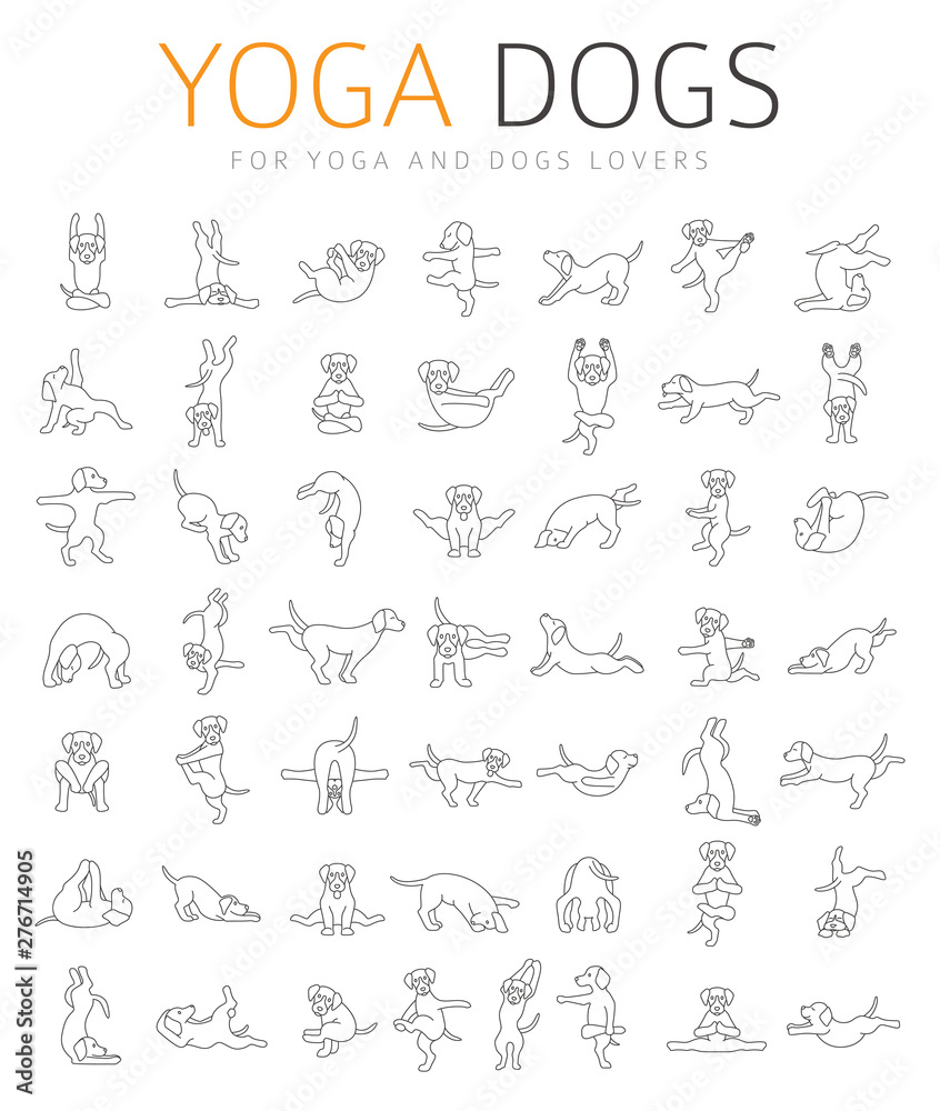 Yoga dogs poses and exercises doing clipart. Funny cartoon simple linear poster design