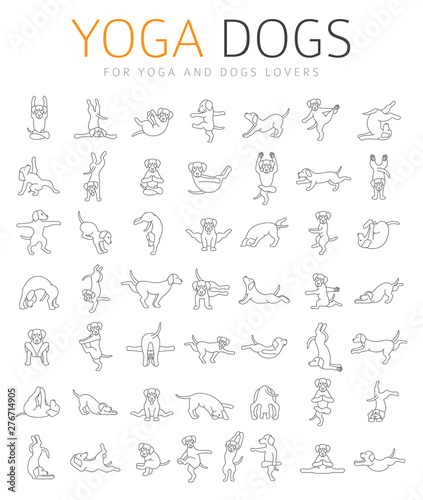 Yoga dogs poses and exercises doing clipart. Funny cartoon simple linear poster design