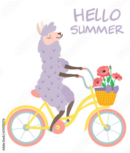 Funny illustration of a cute llama on a bike with flowers. Vector template for greeting card, banner, postcard, poster.