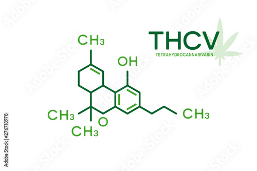 THCV molecular formula. Tetrahydrocannabivarin molecule structure on white background.