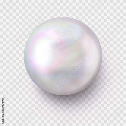 Tela Isolated Realistic Single Shiny Pearl with a Shadow on Transparent Background