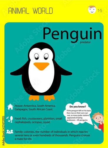 Penguin. Educational flash cards for children, kindergarten. Habitat, food, interesting facts. Home schooling. Animal illustration for zoo ad, nature concept, children book illustrating