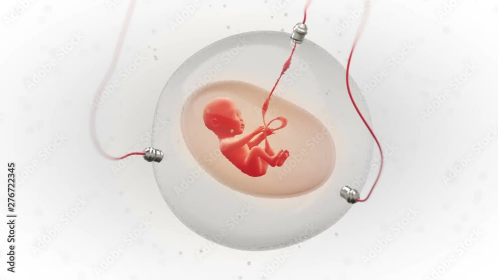 Concept animation of a fetus development in an artificial gestational sac