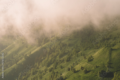 a cloud descended on a green mountain peak and trees at sunset