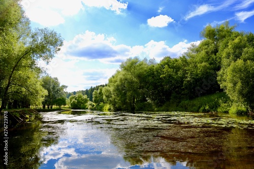 lake in deep forest