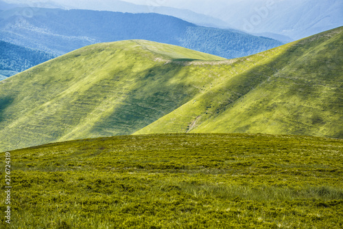 green mountain meadow with mountain range in the background.at Carpathian mountains