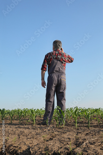 Agricultural scene, farmer in corn field