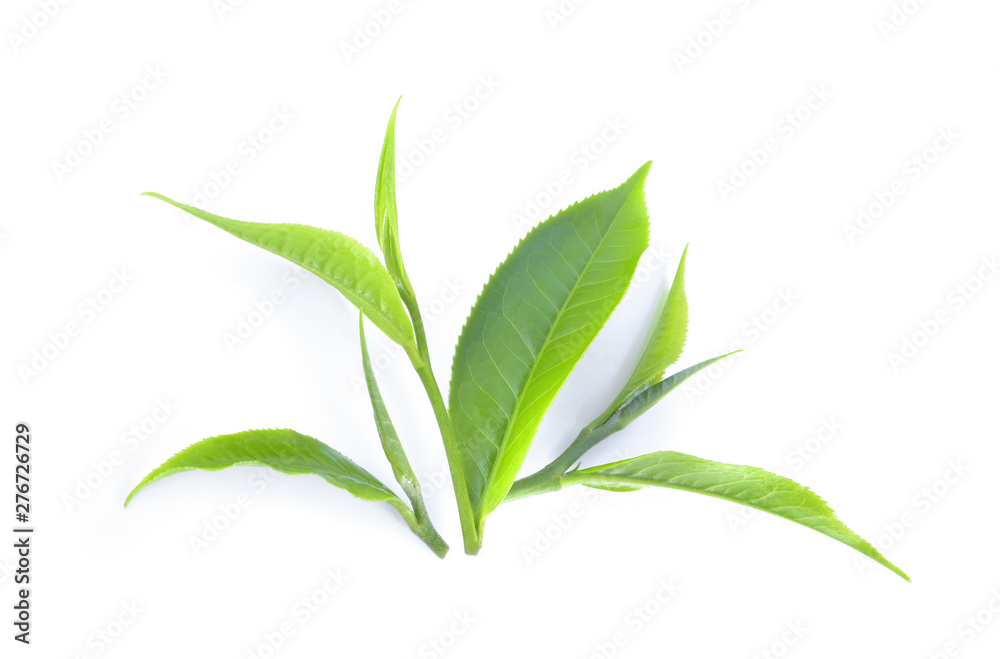 Naklejka premium green tea leaf isolated on white background