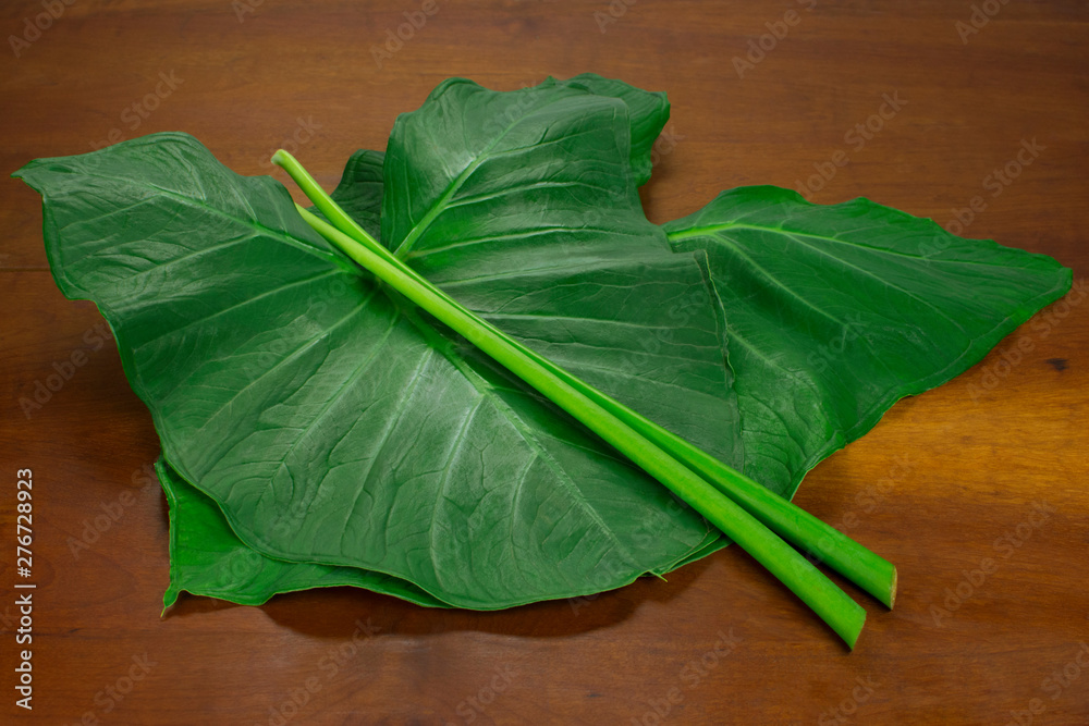 Exotic edible plant leaves and stalks (Xanthosoma sagittifolium) called ...