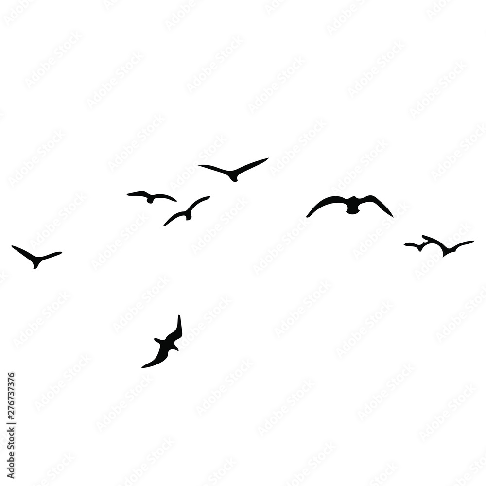 Obraz na plátně birds vector silhouette