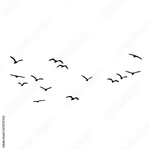 birds vector silhouette © Kirill