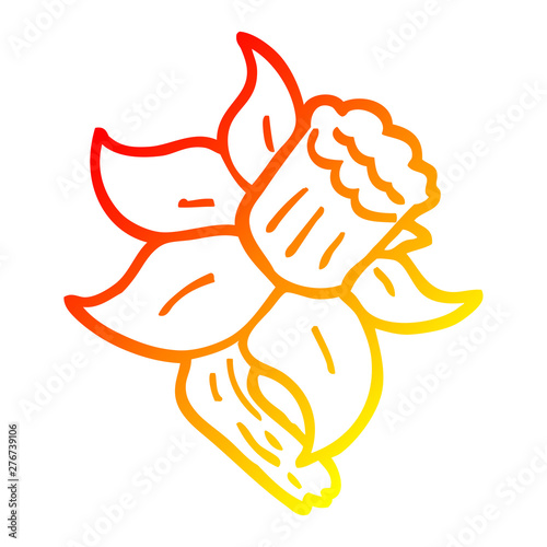 warm gradient line drawing cartoon daffodil