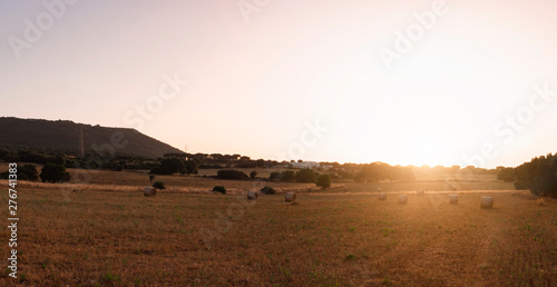 Haystack harvest agriculture field landscape. Agriculture field haystack. Haystack field agriculture view (italy - Puglia)