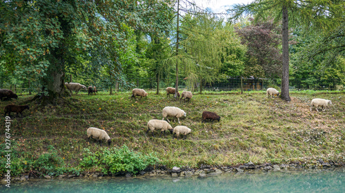 Thun Lake  Switzerland