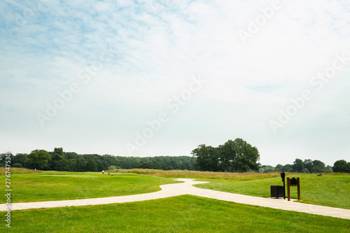 Expanded view of green grass meadow and trees