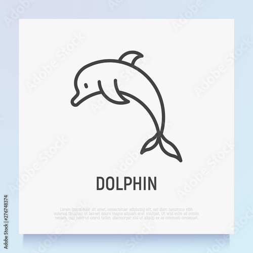 Cartoon jumping  dolphin thin line icon. Modern vectir illustration.
