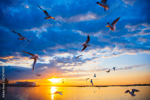 Sunset in the city. sunset on the river. Seagulls fly over the river