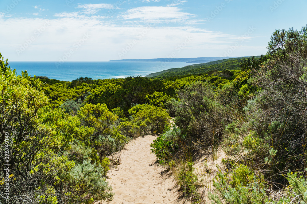 Landschaft auf dem Great Ocean Walk am Cape Otway in Victoria Australien Landschaft auf dem Great Ocean Walk am Cape Otway in Victoria Australien
