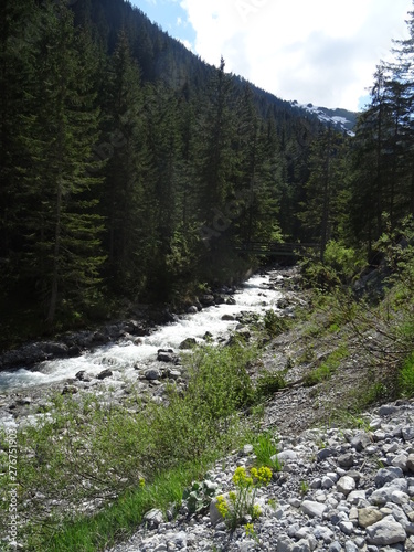 tal mit fluss im lechtal