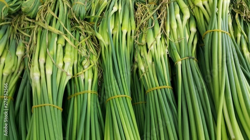 Close up view of lush green leaves of onions. Vegetable background.