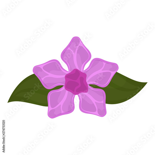 Isolated lilac flower image with leaves - Vector