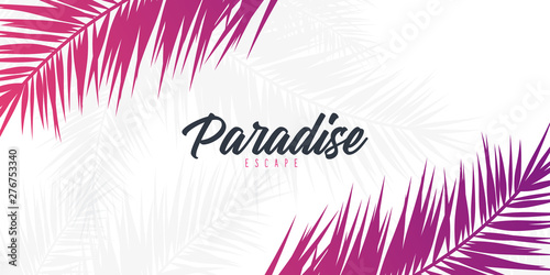 Summer Tropical palm leaves. Exotic palms tree. Floral Background.