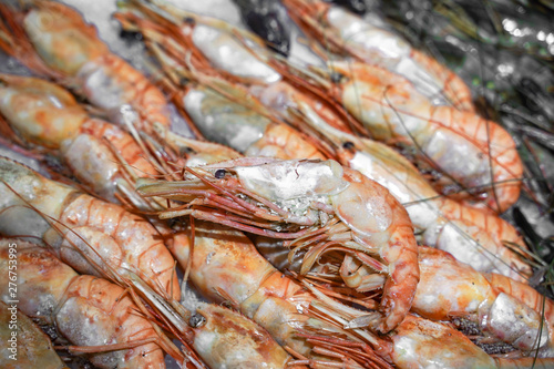 fresh shrimp on ice at the fish market