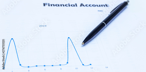 accounting, annual accounting report, financial documentation.