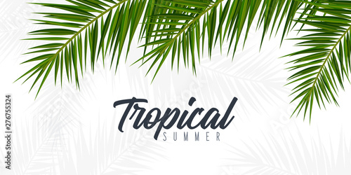 Summer Tropical palm leaves. Exotic palms tree. Floral Background.