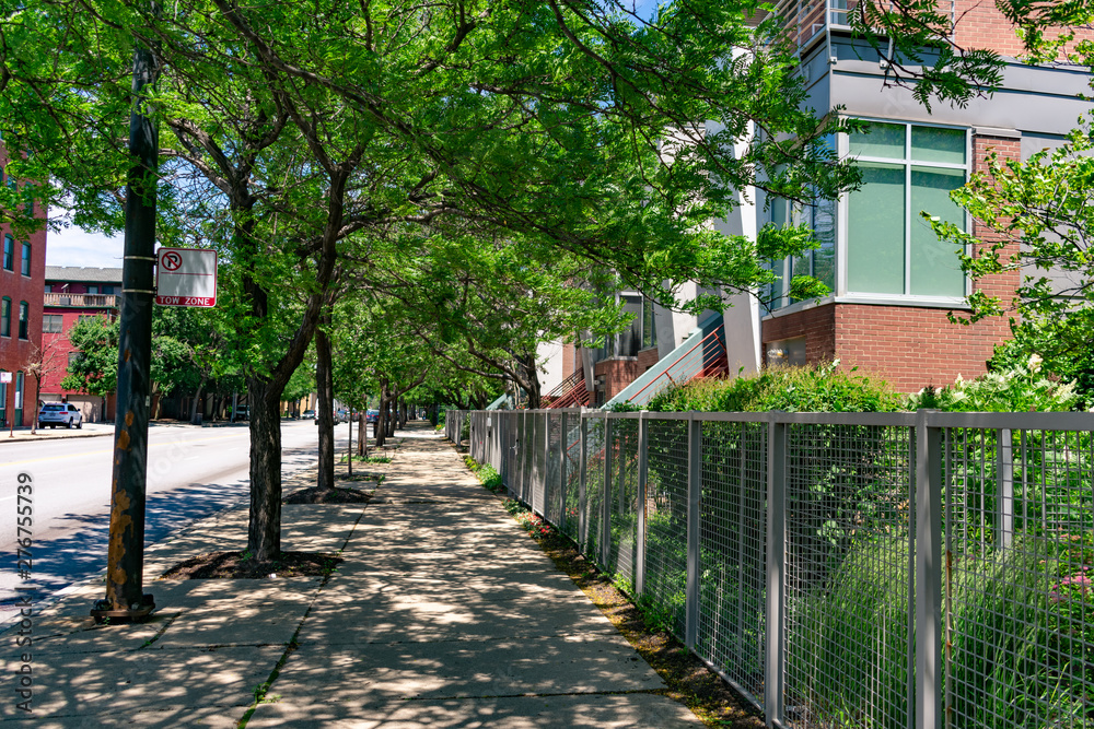 Obraz premium Shaded Sidewalk with Trees and Residential Buildings in the South Loop Neighborhood of Chicago
