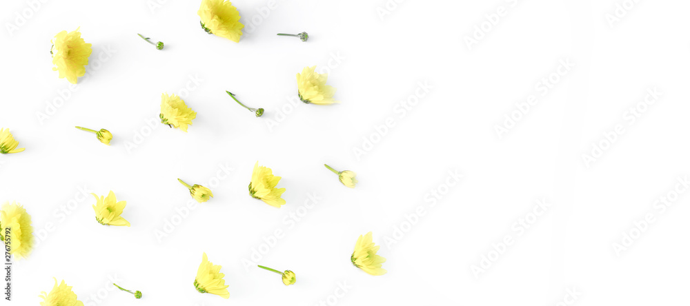 Floral pattern made of Chrysanthemum flowers, flat top view of yellow flowers on white background with white part for copyspace