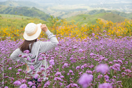 Asian tourists are standing to admire the beauty of flowers in the mountain gardens at Phetchabun province , Thailand.Travel with family cancept. photo