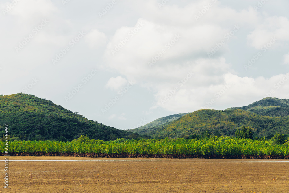 Landscape of low tide with green mountain, cloud sky in background and mangrove forest on foothill at Toong Pronge Bay in Chon Buri, Sattahip District, Thailand. Landscape of low tide with green mountain, cloud sky in background and mangrove forest on foothill at Toong Pronge Bay in Chon Buri, Sattahip District, Thailand.