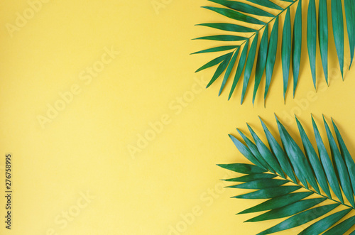 Large leaves of palm trees on an orange background.