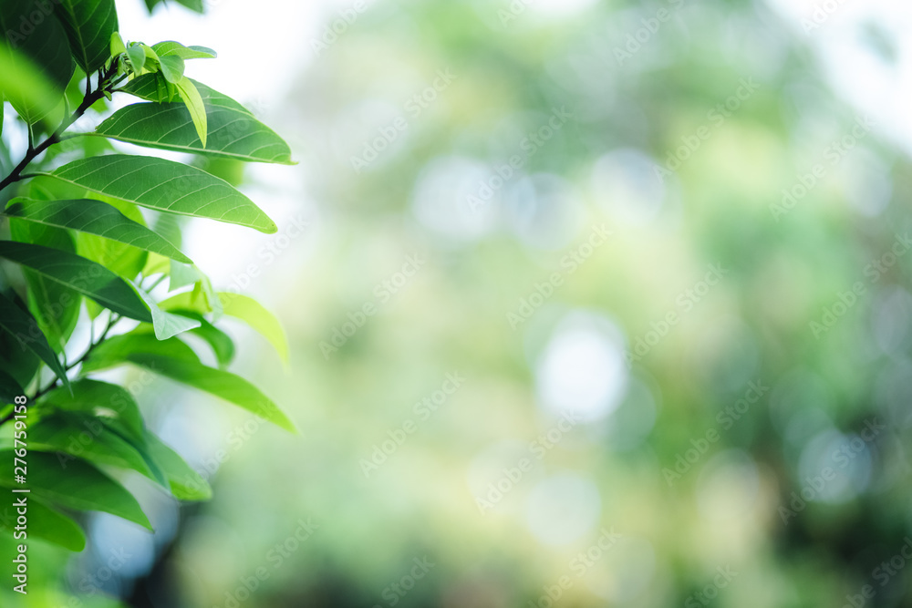 green leaf background green leaf background