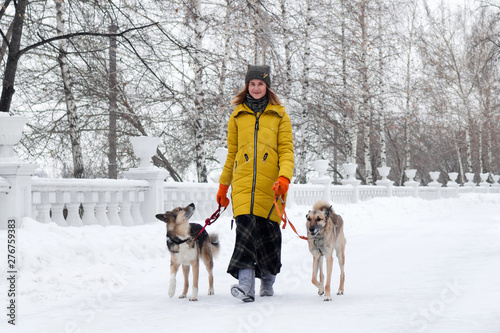 Young woman is walking in a snowy winter park with her two dogs.
