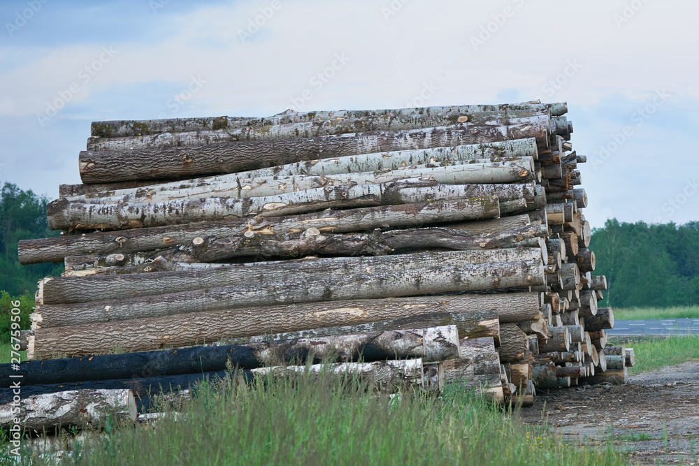 Pile of cut wooden logs lying on the roadside in russia Pile of cut wooden logs lying on the roadside in russia