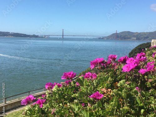 flowers in the front with sea and Golden Gate Bridge at blue sky