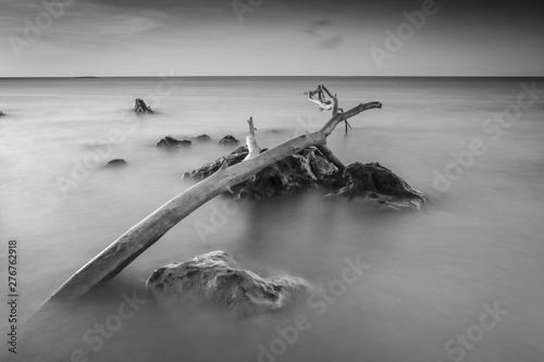 Black and white scene of large log on Bama Beach, Baluran. Baluran National Park is a forest preservation area that extends about 25.000 ha on the north coast of East Java, Indonesia. © Ivan