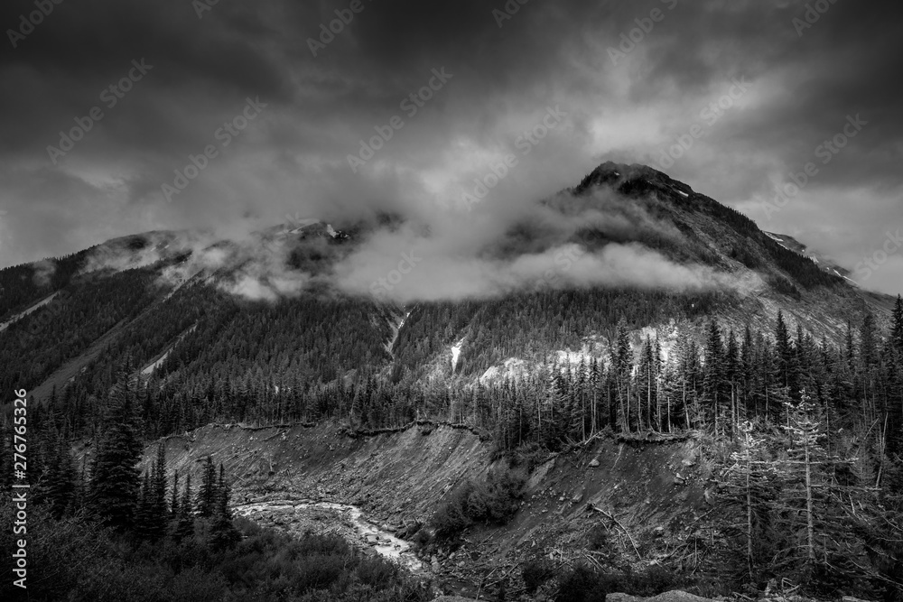Glacial Basin Mount Rainier National Park In Black And White
